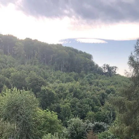 Hotel Katalin Vendeghaz