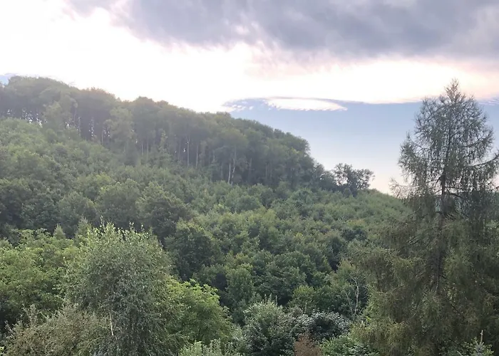 Hotel Katalin Vendeghaz